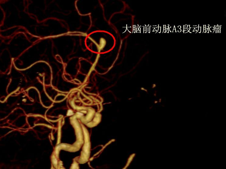 微信图片_20250429142320