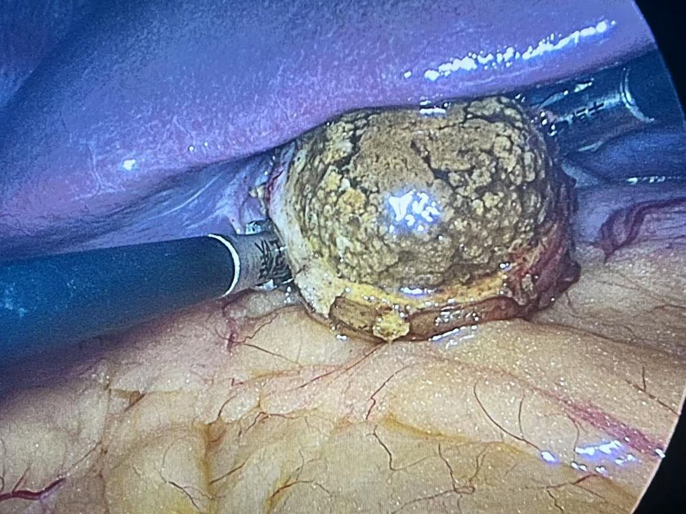 微信图片_20251208092054_184_609