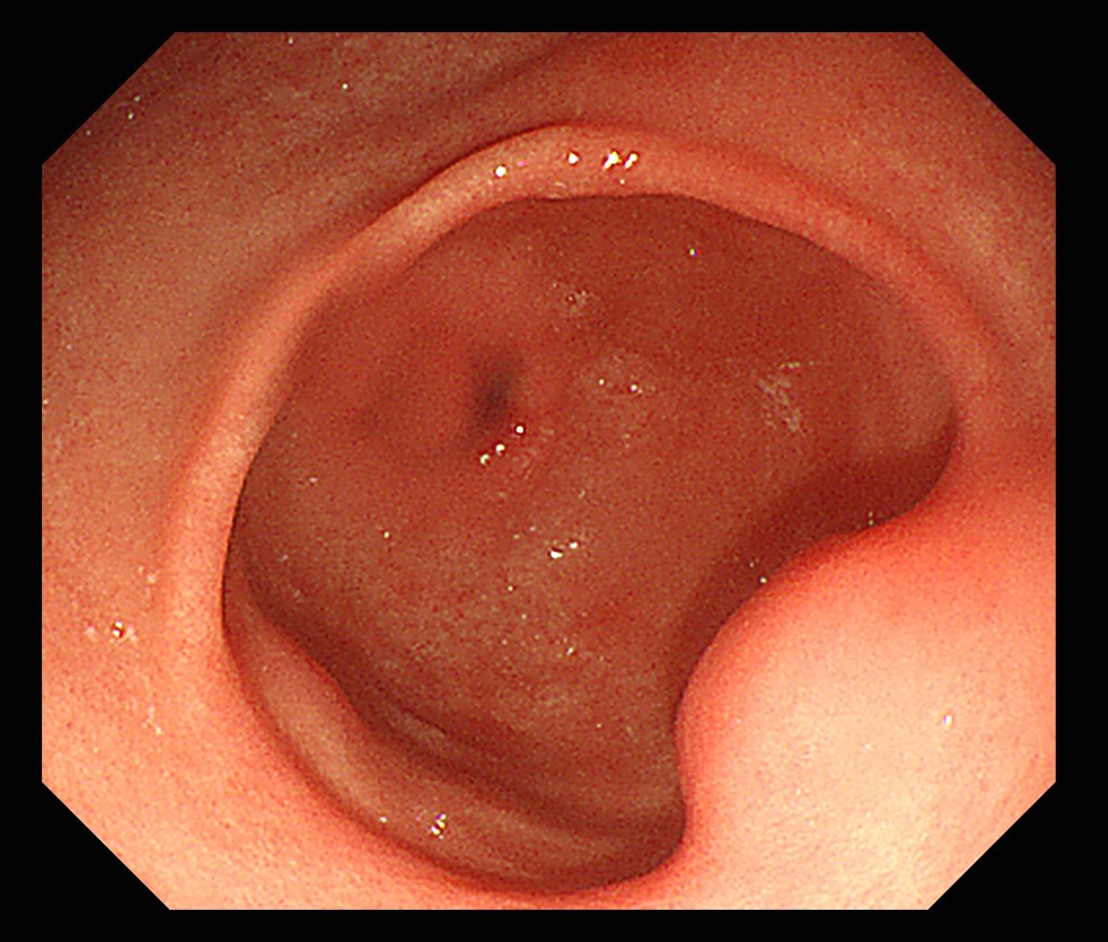 微信图片_20260202080232_325_9
