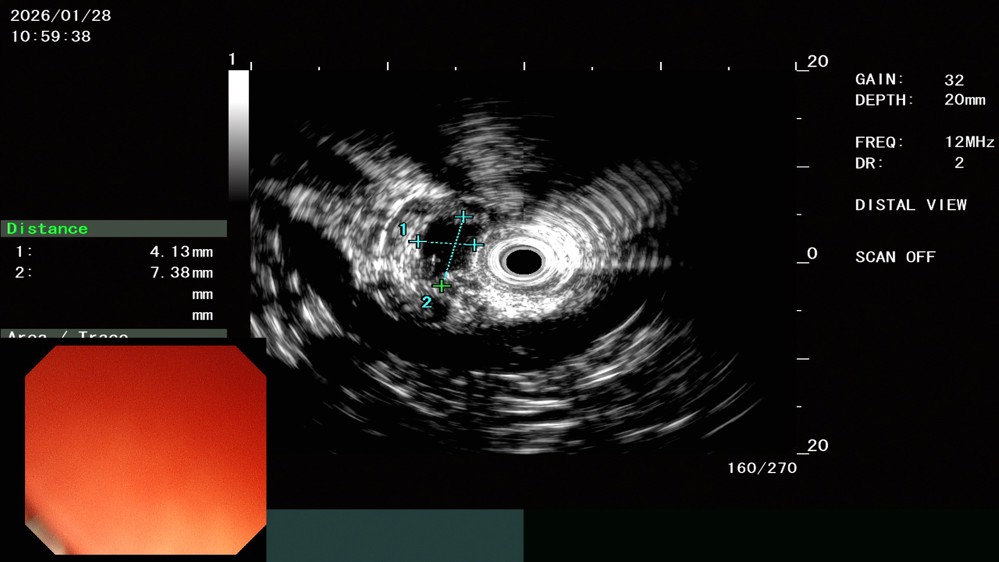 微信图片_20260202080233_326_9