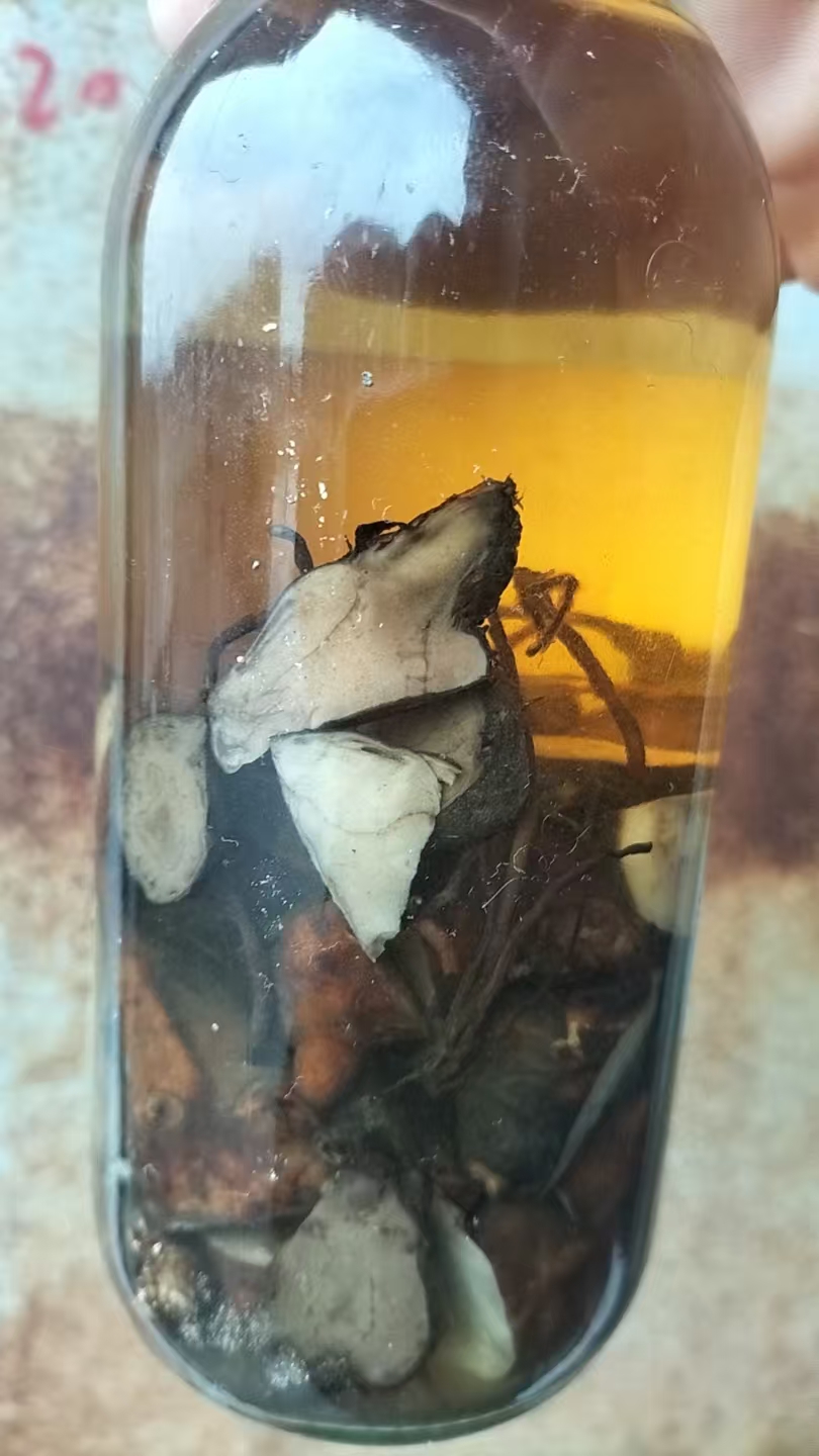 微信图片_20260324125345_60_1286